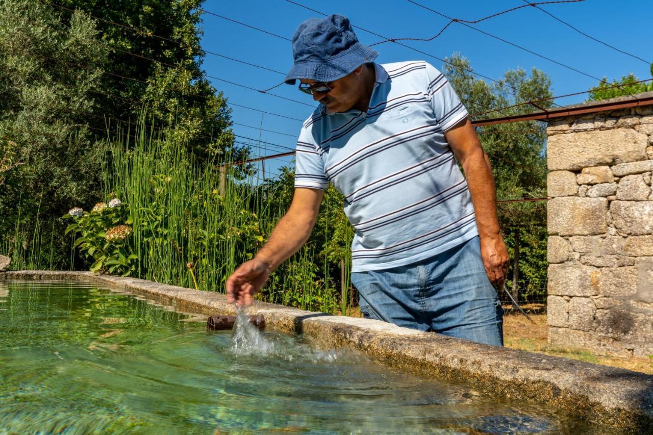 Chalé da Quinta Lavoura da Bouça - Fruta Bio Celorico De Basto Esterno foto
