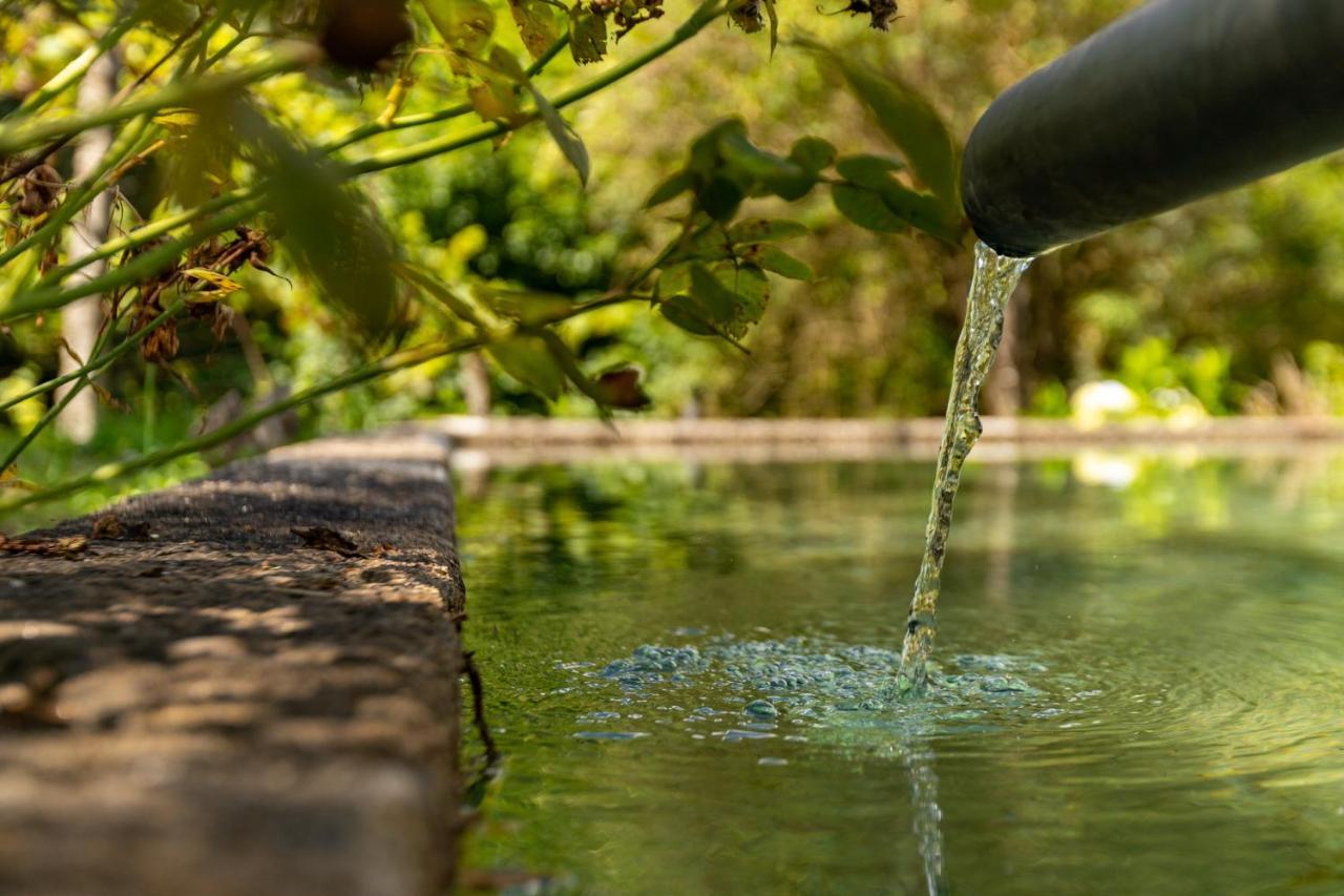 Chalé da Quinta Lavoura da Bouça - Fruta Bio Celorico De Basto Esterno foto