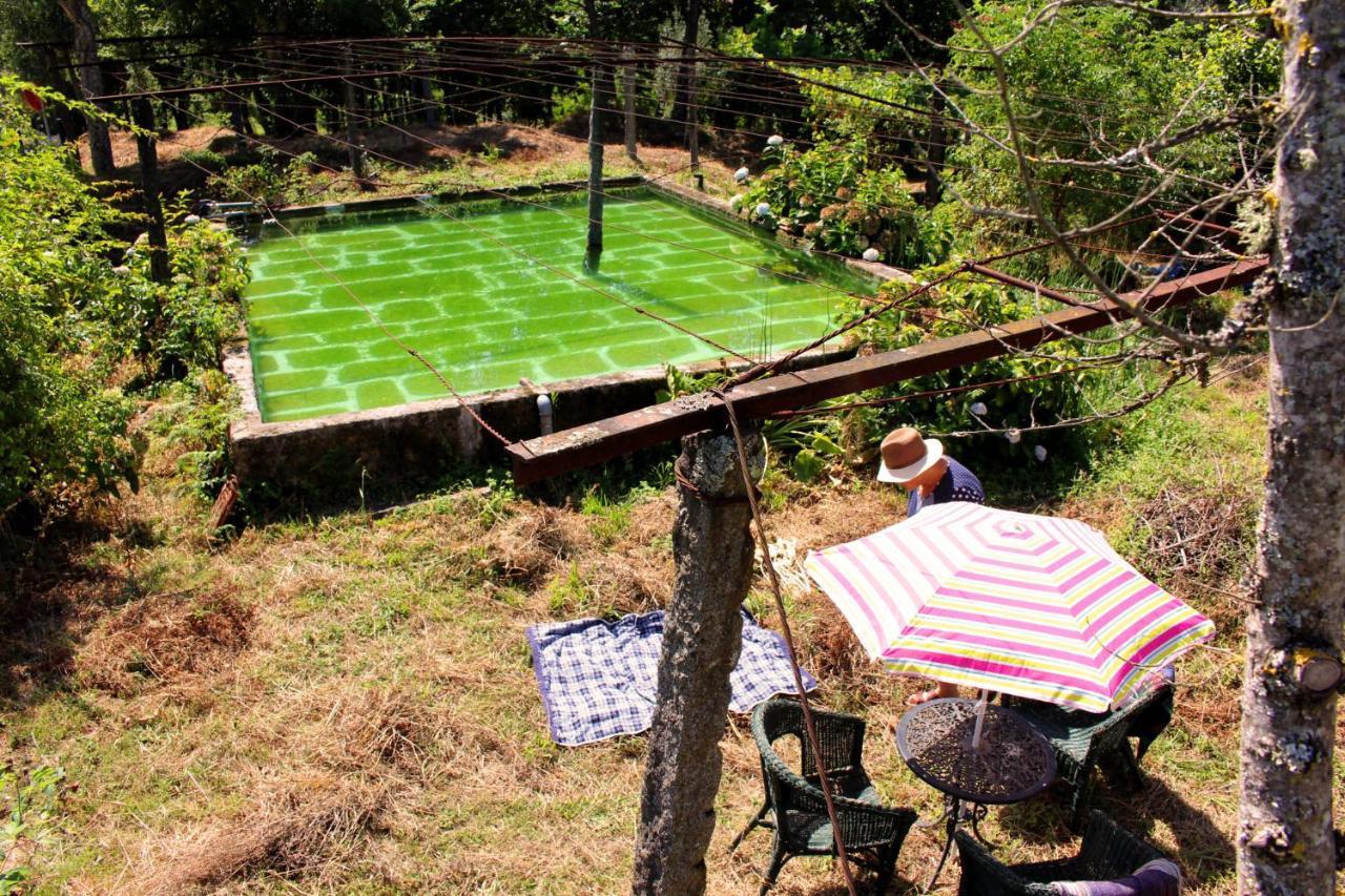 Chalé da Quinta Lavoura da Bouça - Fruta Bio Celorico De Basto Esterno foto