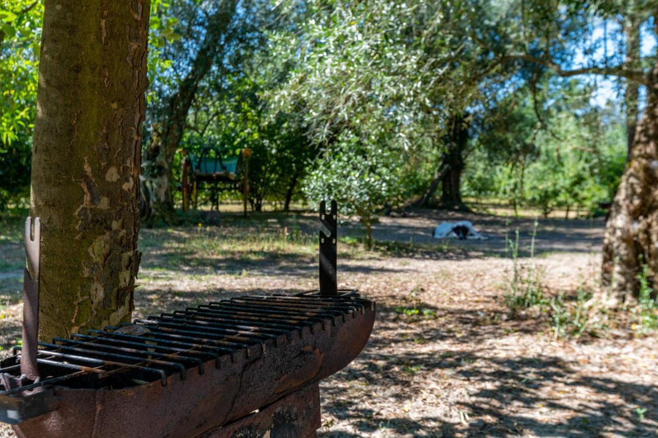 Chalé da Quinta Lavoura da Bouça - Fruta Bio Celorico De Basto Esterno foto