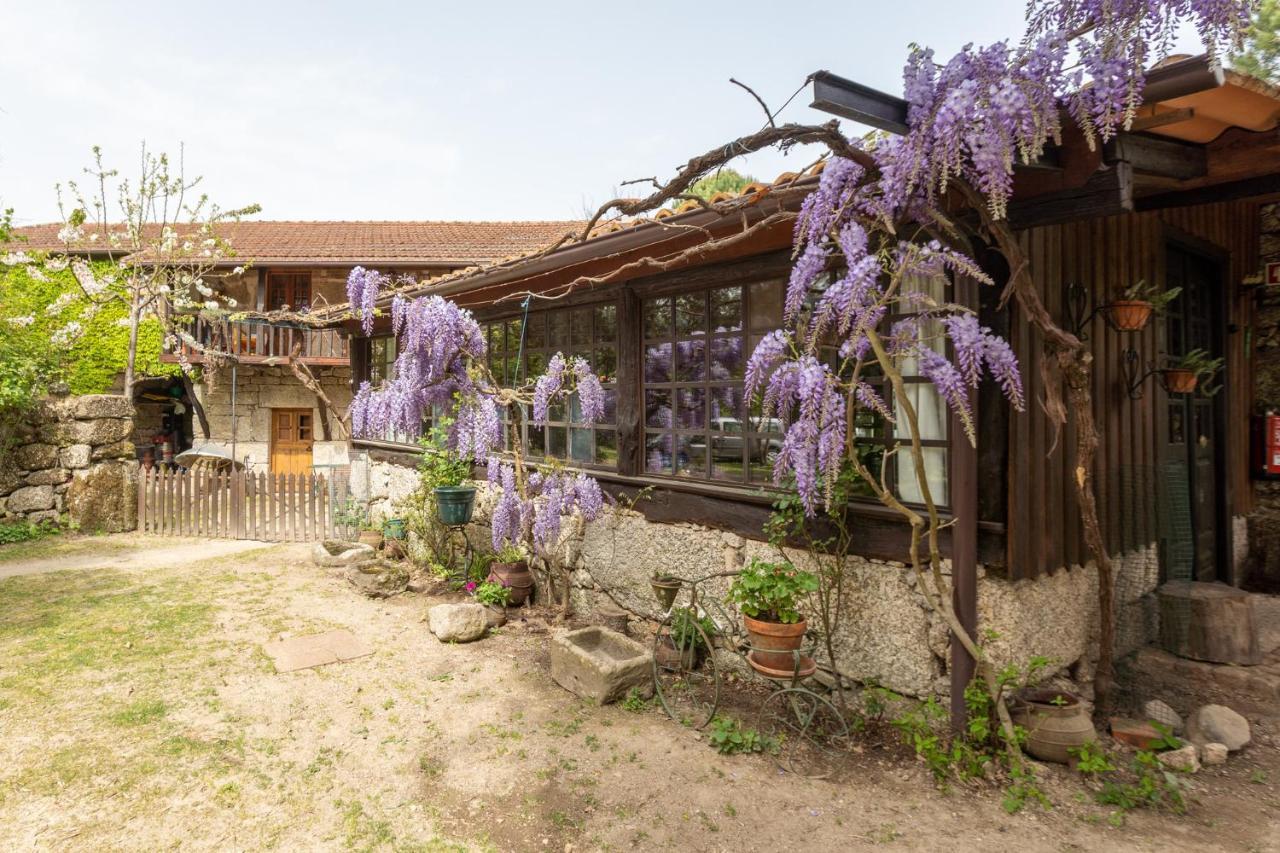 Chalé da Quinta Lavoura da Bouça - Fruta Bio Celorico De Basto Esterno foto