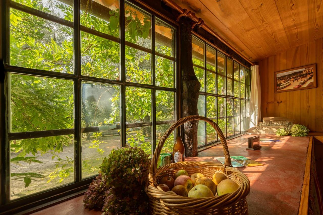 Chalé da Quinta Lavoura da Bouça - Fruta Bio Celorico De Basto Esterno foto
