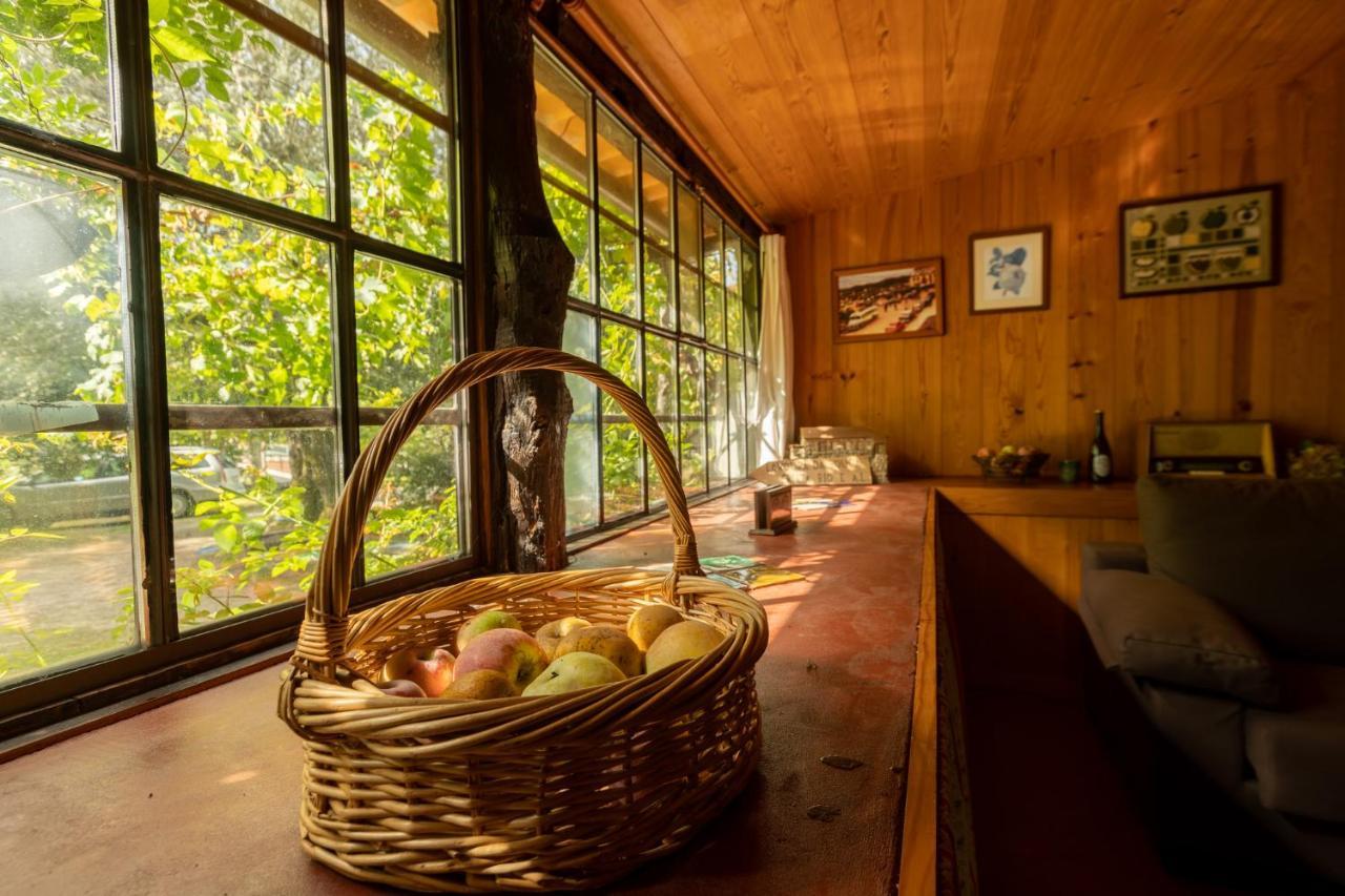 Chalé da Quinta Lavoura da Bouça - Fruta Bio Celorico De Basto Esterno foto