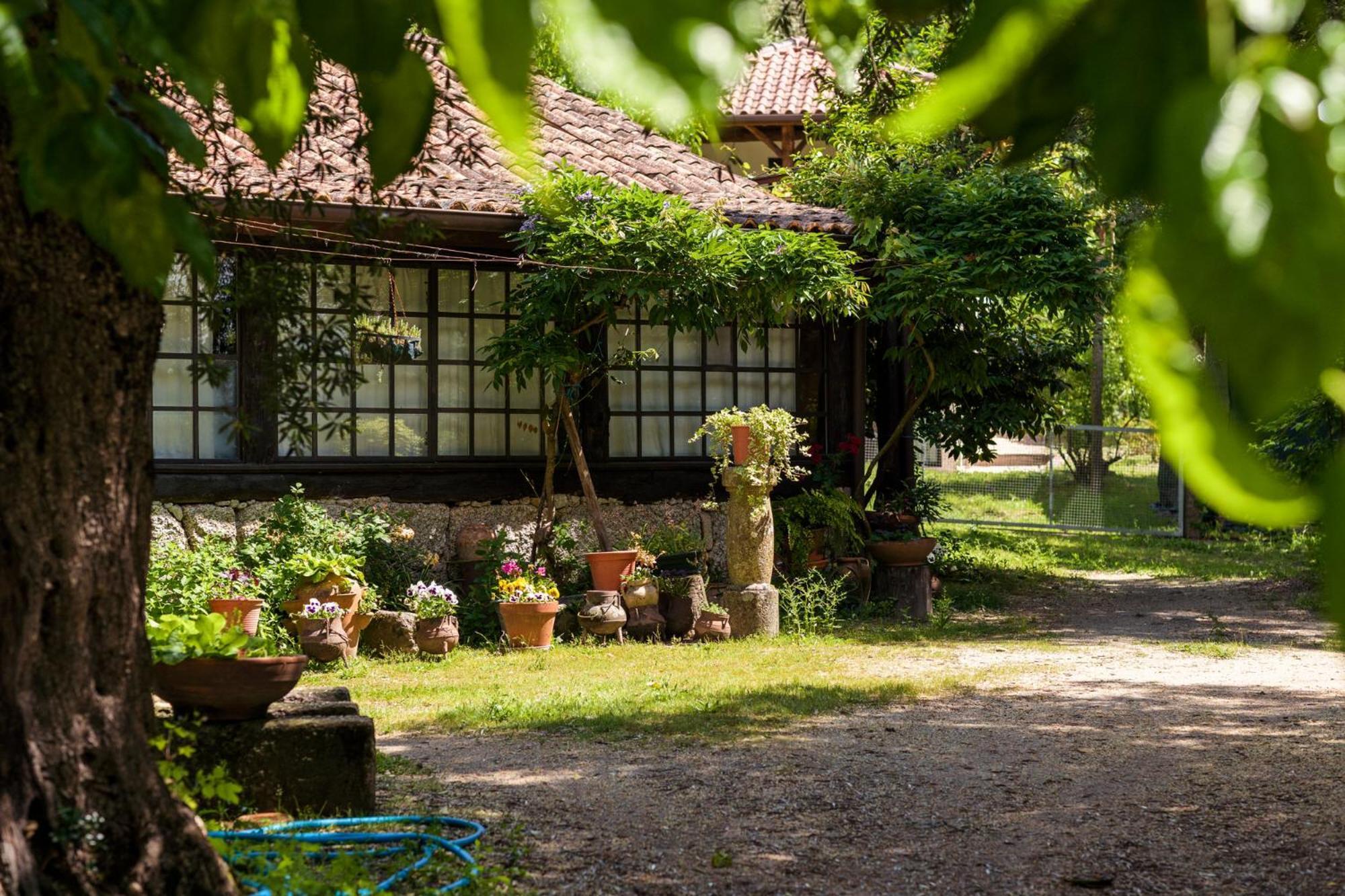 Chalé da Quinta Lavoura da Bouça - Fruta Bio Celorico De Basto Esterno foto