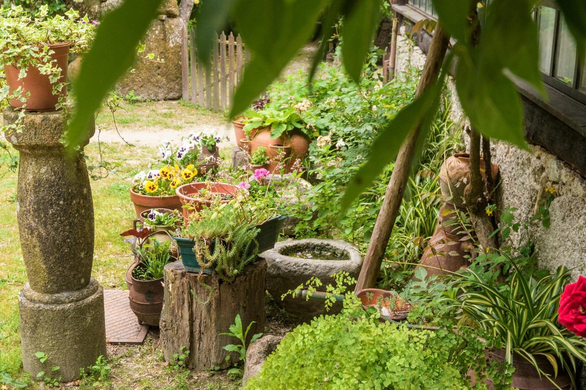 Chalé da Quinta Lavoura da Bouça - Fruta Bio Celorico De Basto Esterno foto
